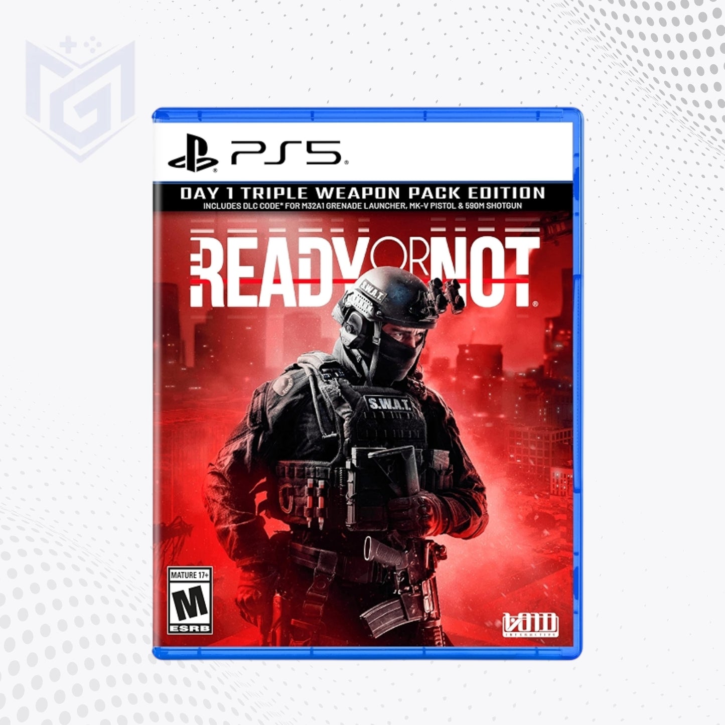 Ready or Not PS5 game Pakistan